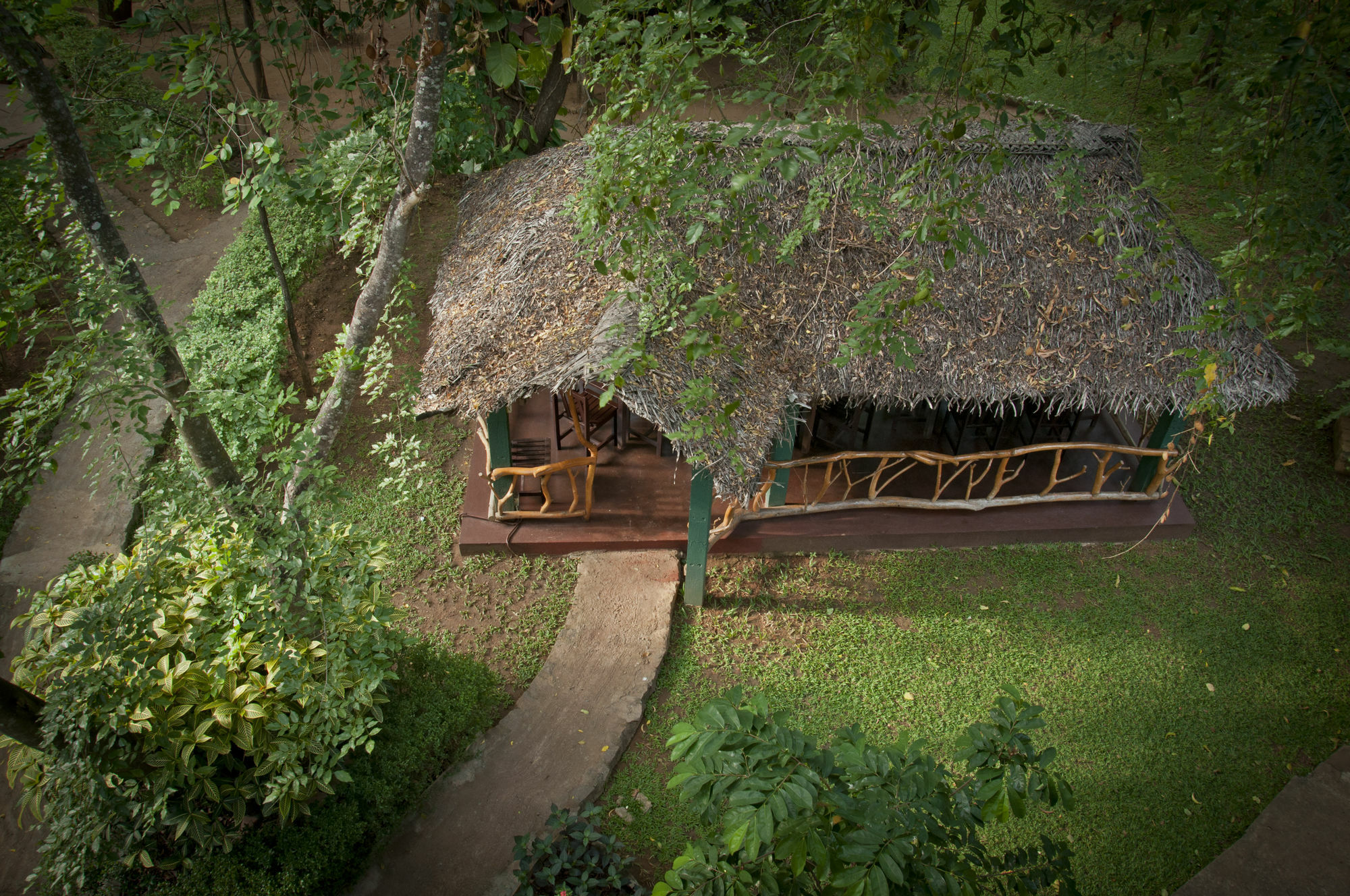 Pelwehera Village Resort Dambulla Exterior foto