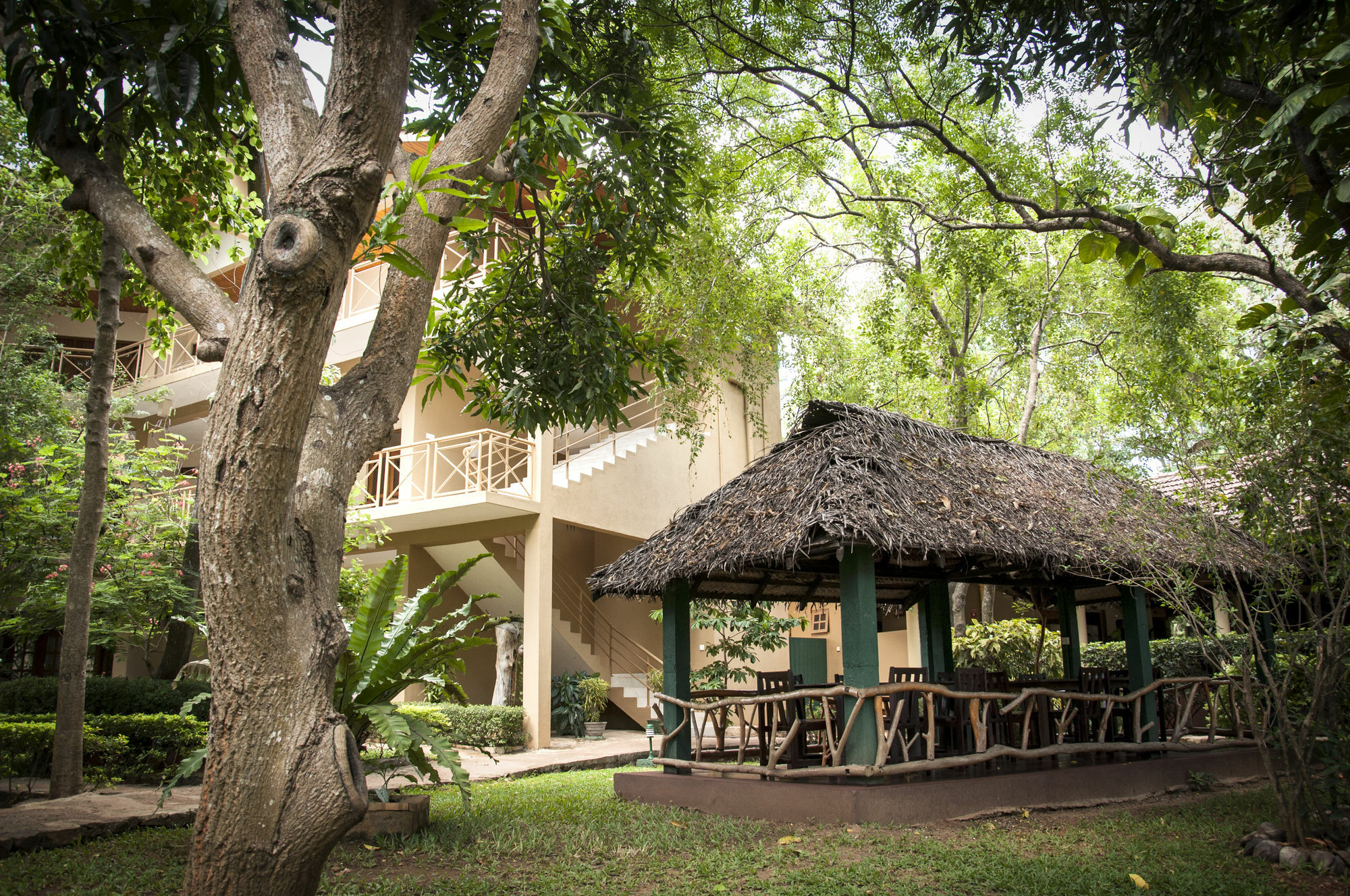 Pelwehera Village Resort Dambulla Exterior foto