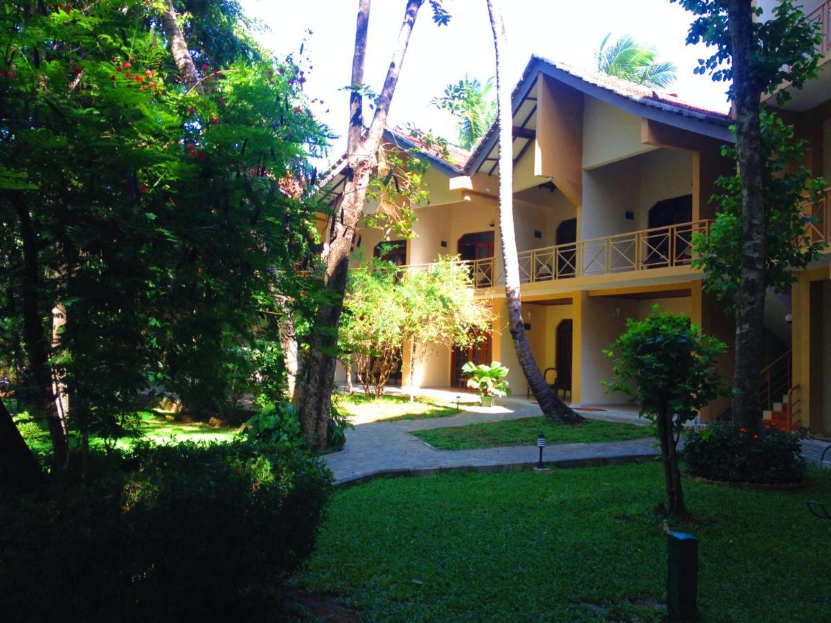 Pelwehera Village Resort Dambulla Exterior foto